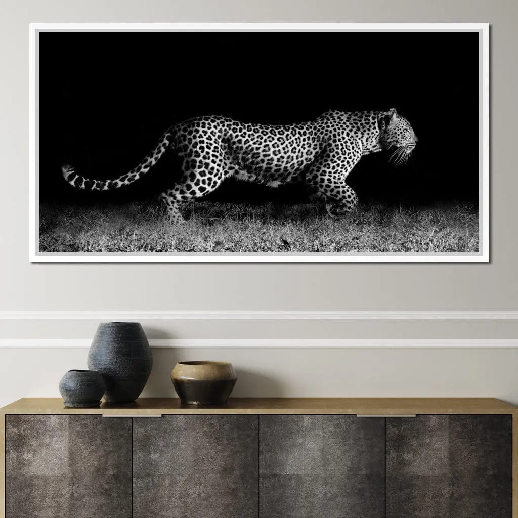 Black and White Jaguar Running