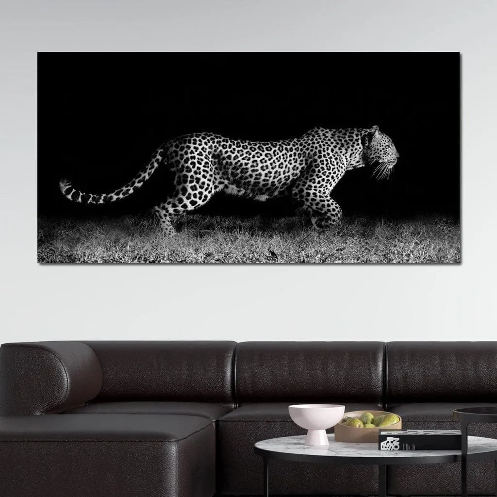 Black and White Jaguar Running