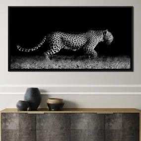 Black and White Jaguar Running