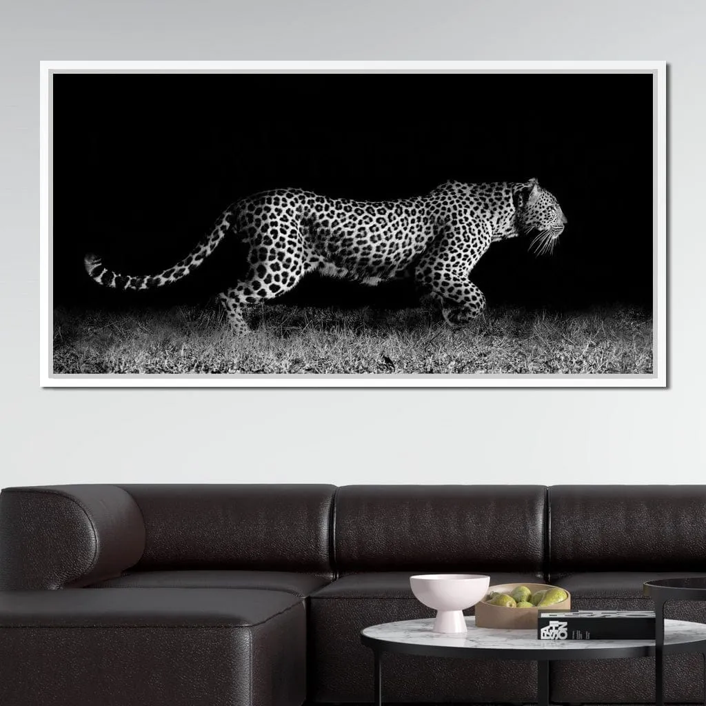 Black and White Jaguar Running