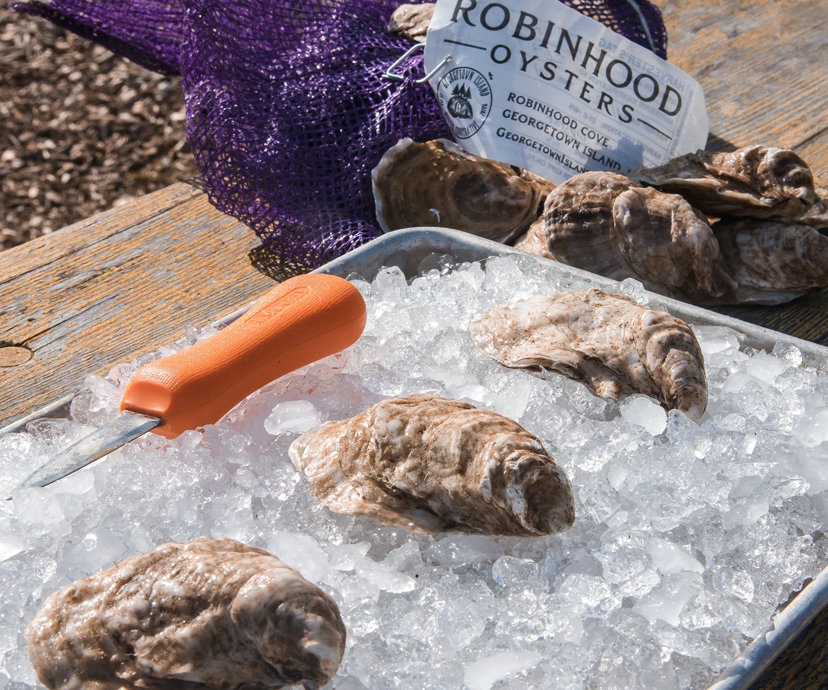 Robinhood Cove Large Oysters from Georgetown Island, ME